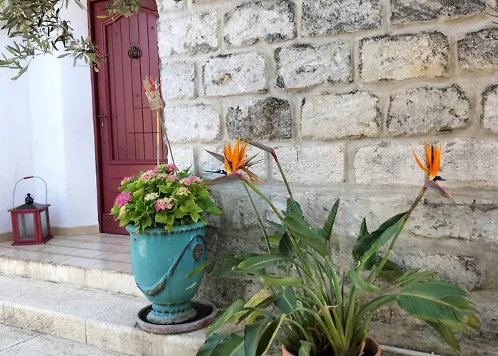 Charmant Appart Avec Jardin