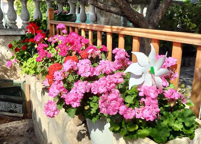 Charmant Appart Avec Jardin