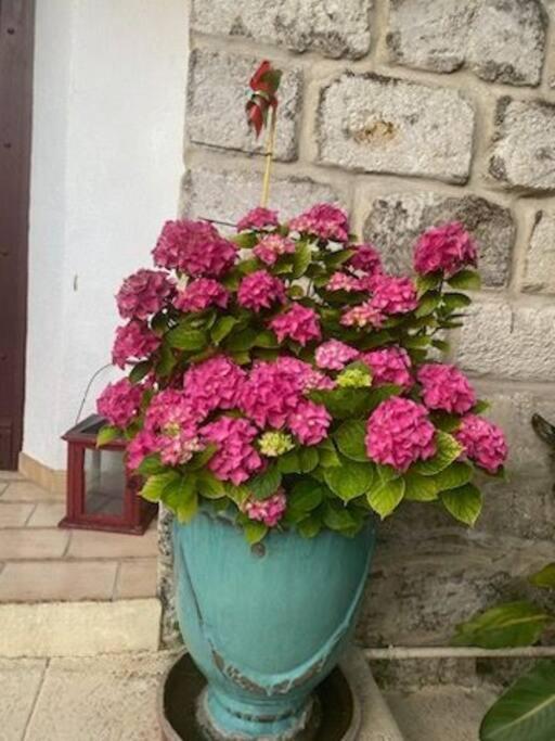 Holiday home Avec Jardin Aigues-Mortes