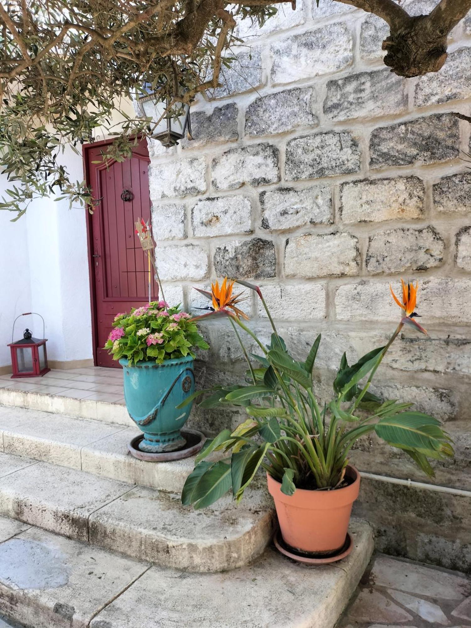 Avec Jardin Holiday home