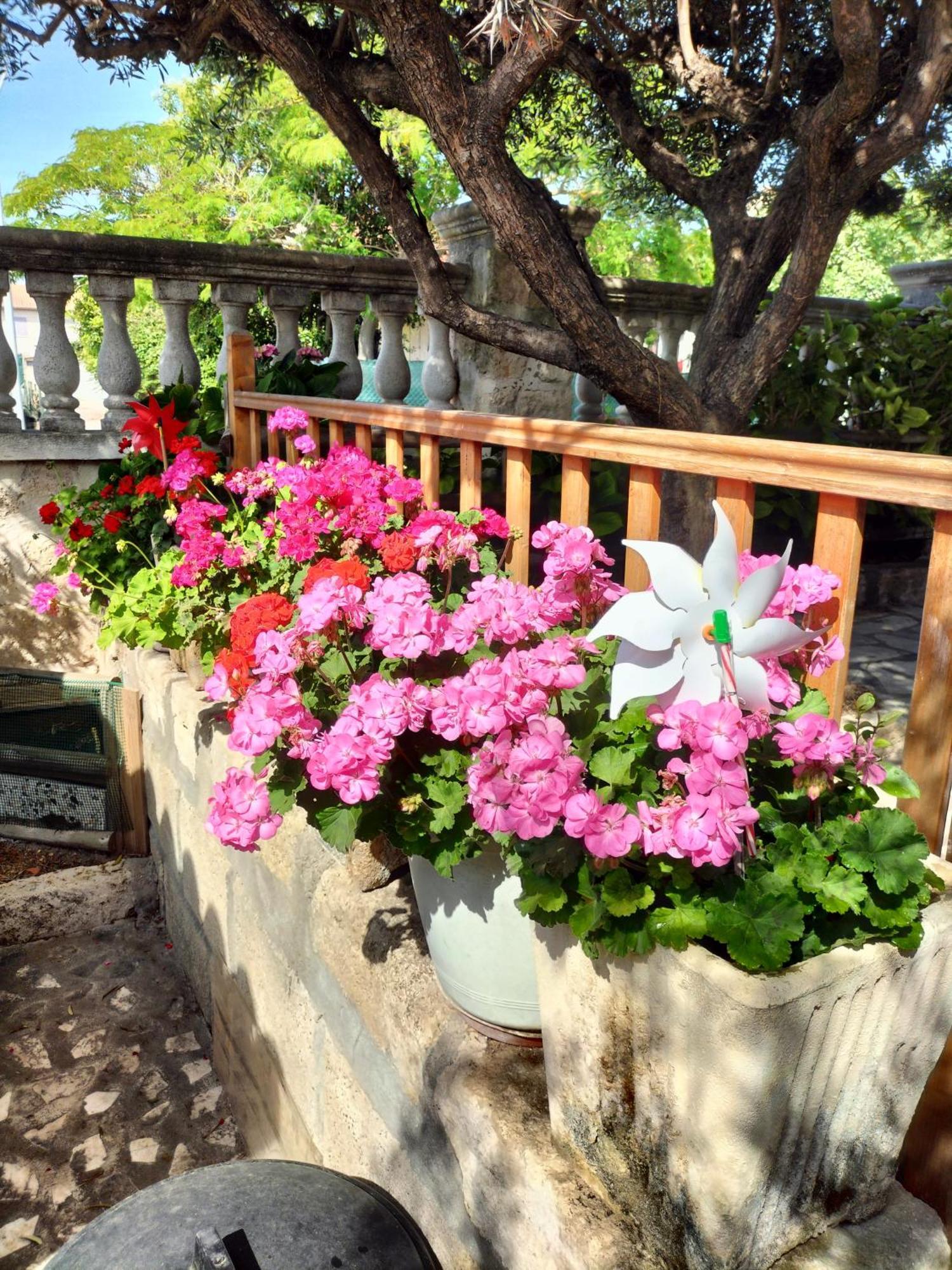 Holiday home Avec Jardin Aigues-Mortes